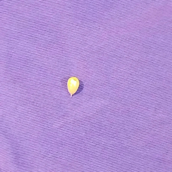 Women's Purple Cotton Short Sleeve 2 Pocket Cotton Shirt NO NAME  NO TAGS - Picture 9 of 11